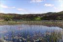 Ref:18 DOCK TARN